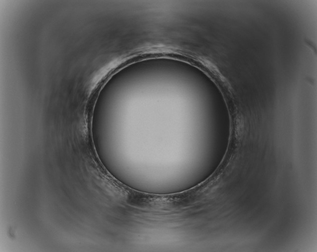 X0000103431167200809121323