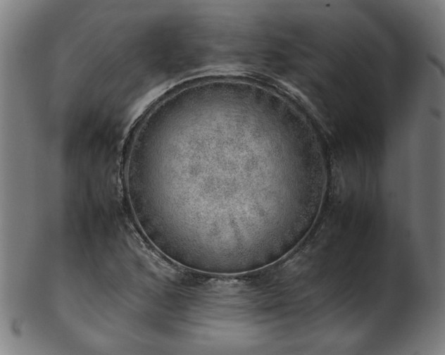 X0000103431168200809121323