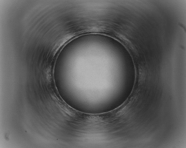 X0000103431170200809121323
