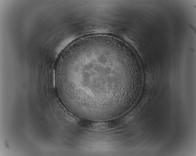X0000103431171200809121323