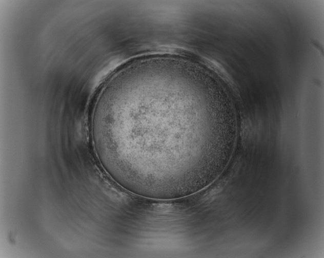 X0000103431172200809121323