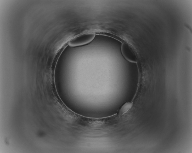 X0000103431173200809121323