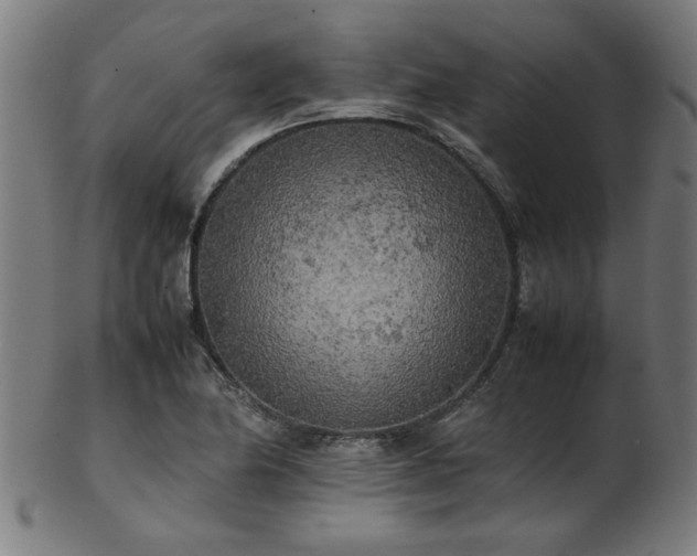 X0000103431174200809121323