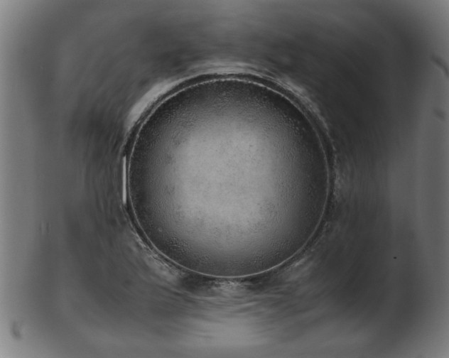 X0000103431175200809121323