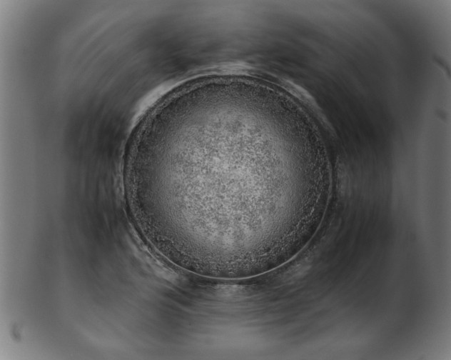 X0000103431176200809121323