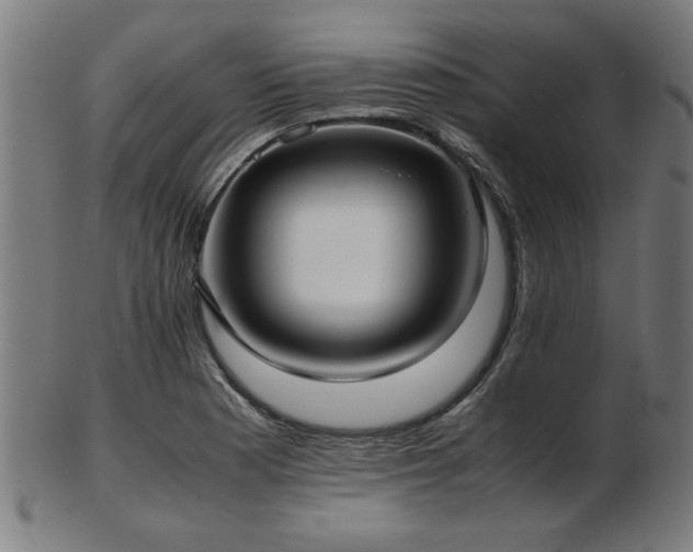 X0000103431177200809121323
