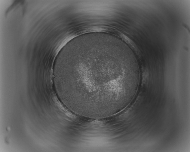 X0000103431178200809121323