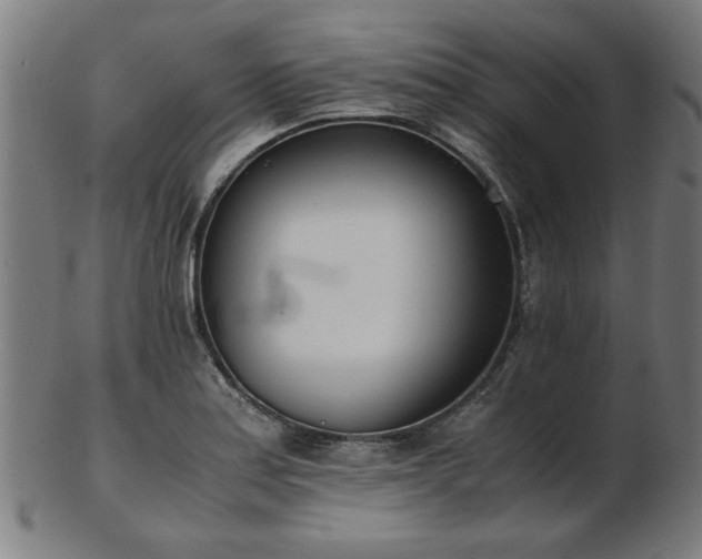 X0000103431179200809121323