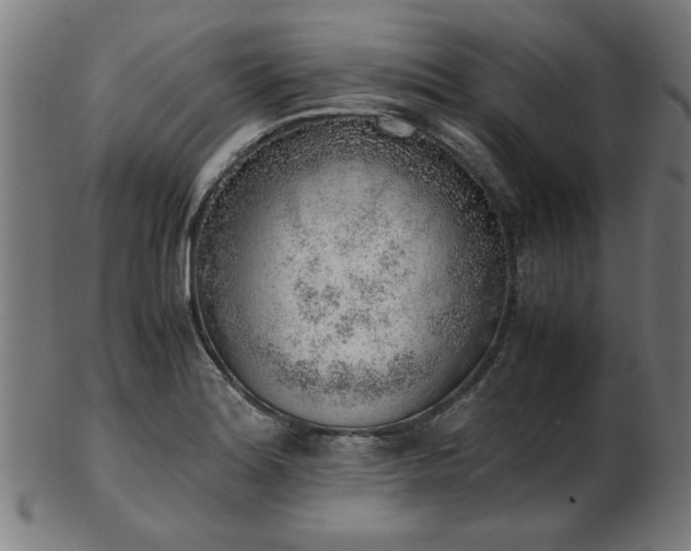 X0000103431180200809121323