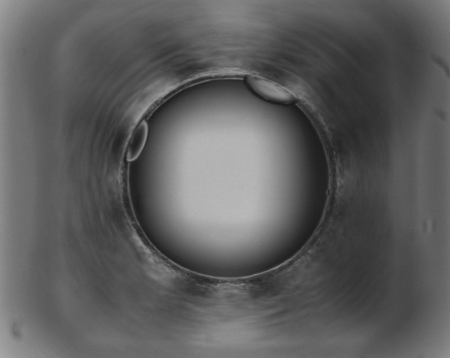 X0000103431181200809121323