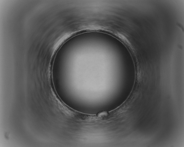 X0000103431183200809121323
