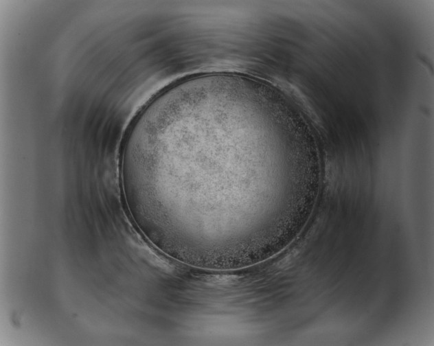 X0000103431184200809121323