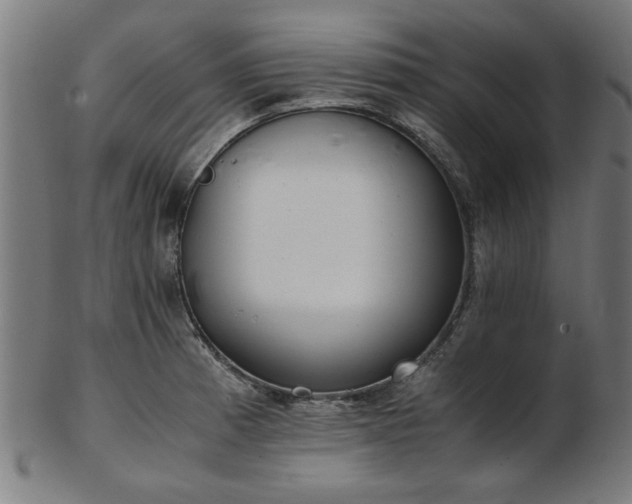 X0000103431185200809121323