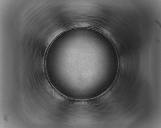 X0000103431186200809121323