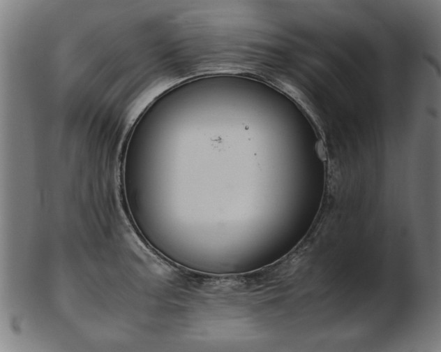 X0000103431187200809121323
