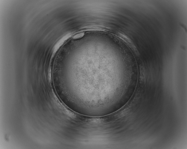 X0000103431188200809121323