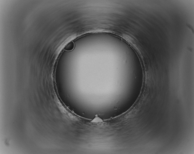 X0000103431189200809121323
