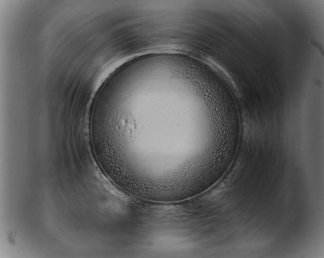 X0000103431192200809121323