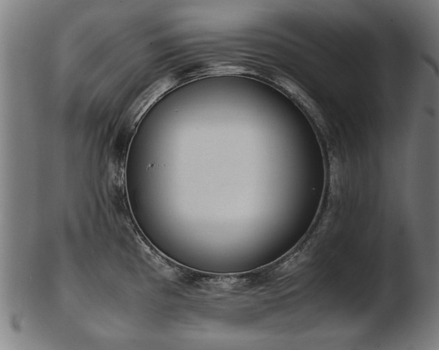 X0000103431193200809121323