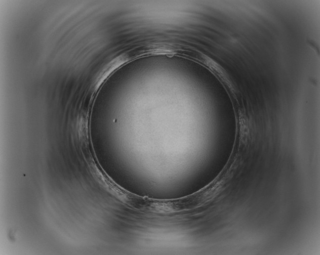 X0000103431194200809121323
