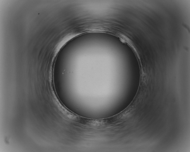 X0000103431195200809121323