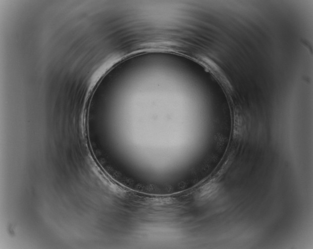 X0000103431196200809121323