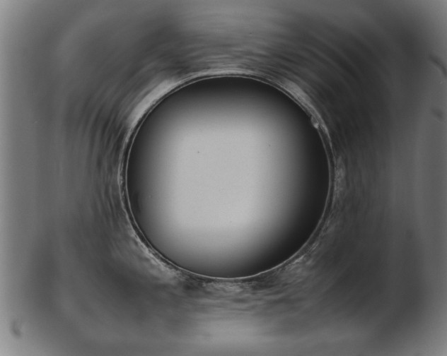 X0000103431197200809121323