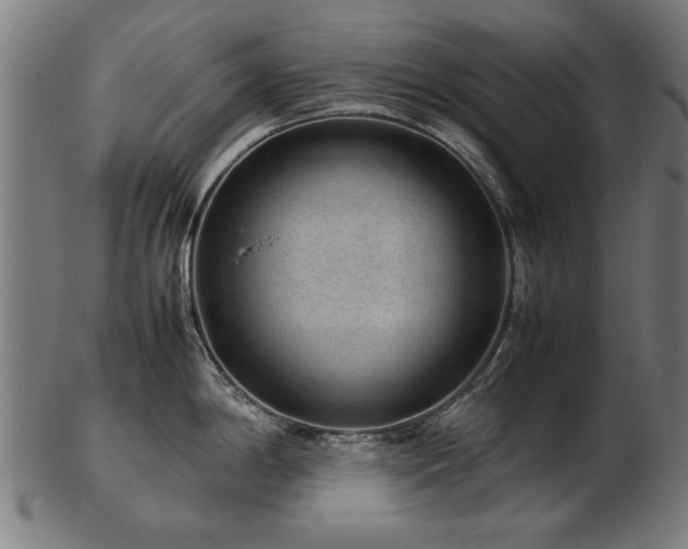 X0000103431198200809121322