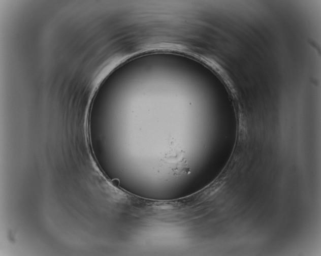 X0000103431199200809121322