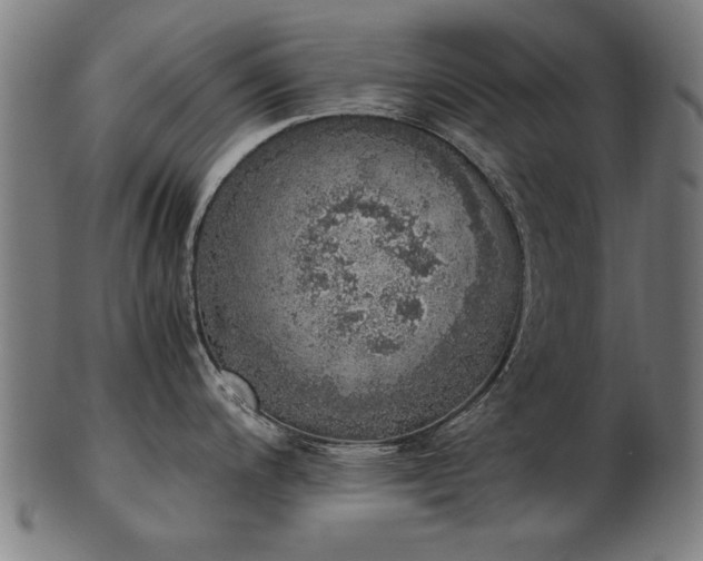 X0000103431200200809121322