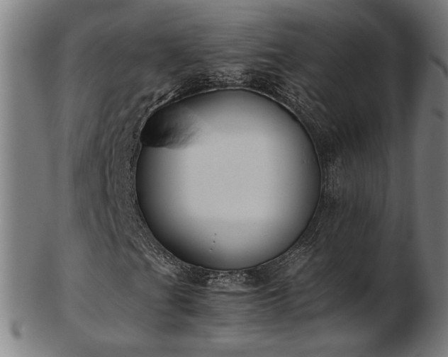 X0000103431201200809121322