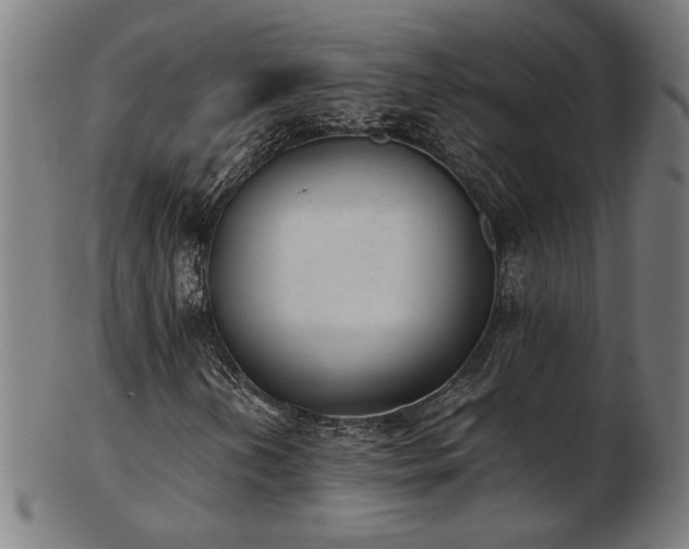 X0000103431202200809121322