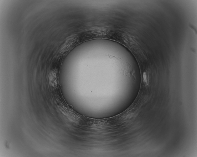 X0000103431203200809121322