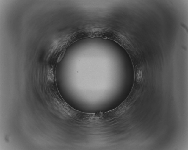 X0000103431204200809121322