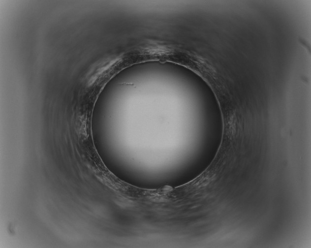 X0000103431205200809121322