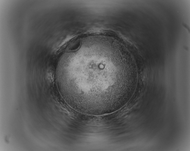 X0000103431206200809121322
