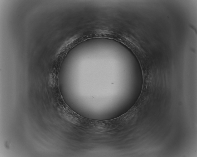 X0000103431207200809121322