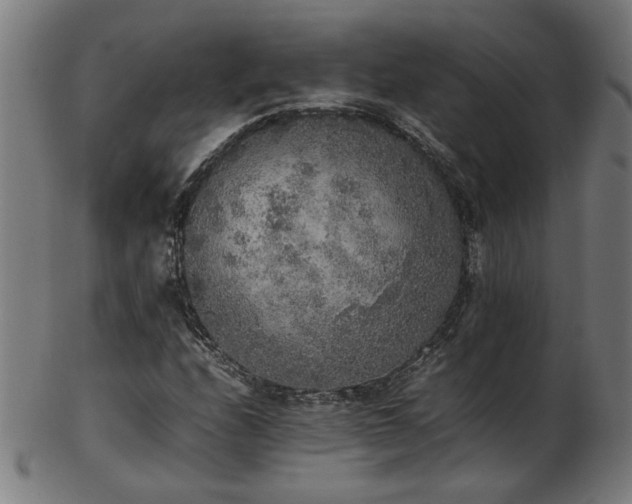 X0000103431208200809121322