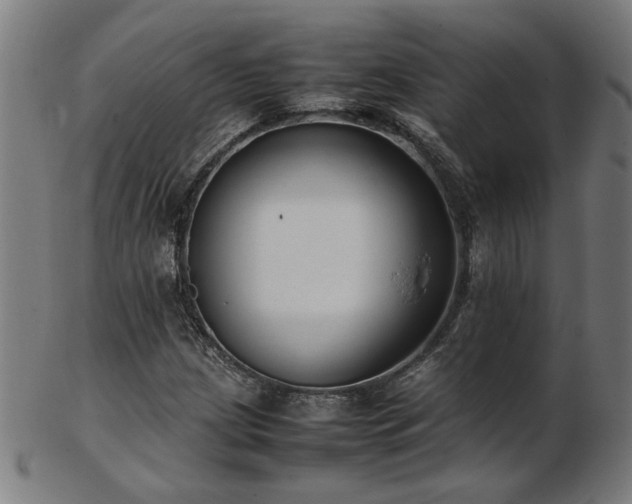 X0000103431209200809121322