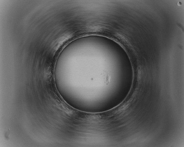 X0000103431210200809121322