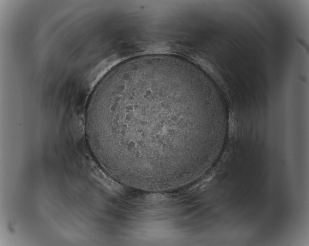 X0000103431212200809121322