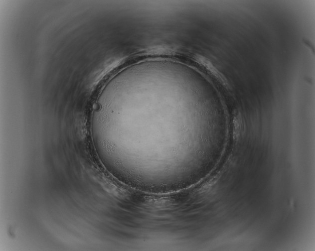 X0000103431213200809121322