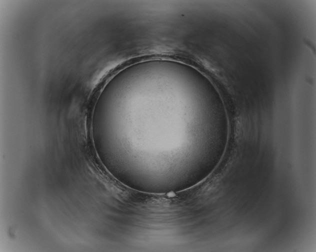 X0000103431214200809121322