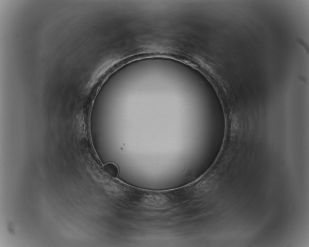 X0000103431215200809121322