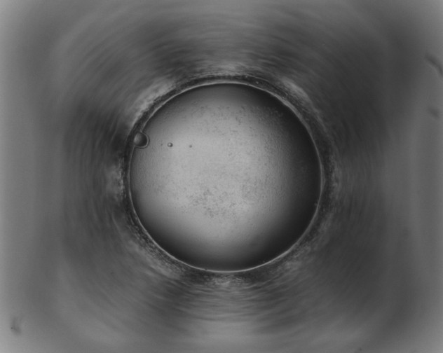 X0000103431218200809121322