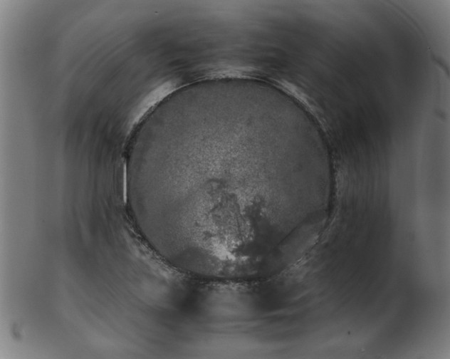 X0000103431219200809121322