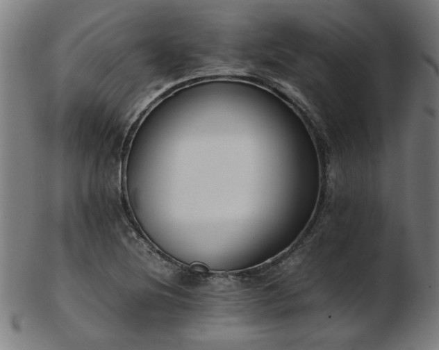 X0000103431220200809121322