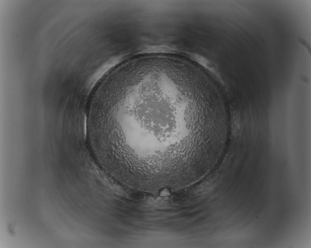 X0000103431221200809121322