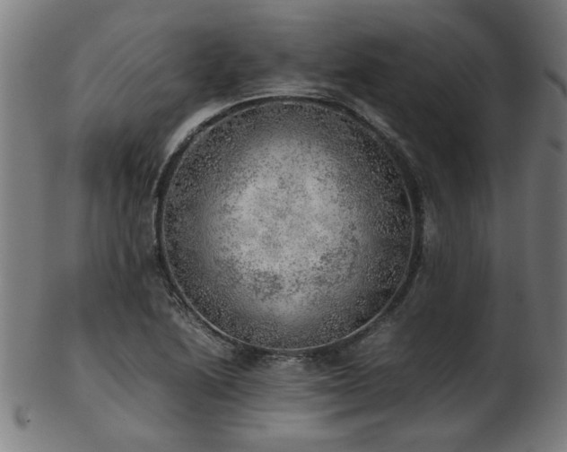X0000103431222200809121322