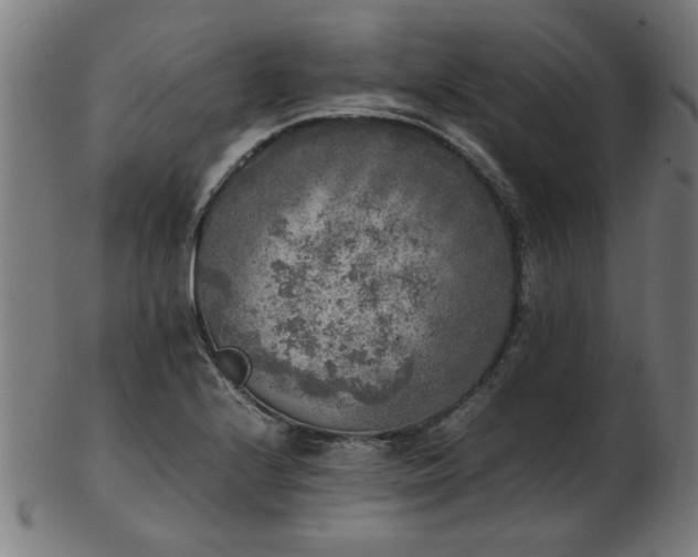 X0000103431224200809121322